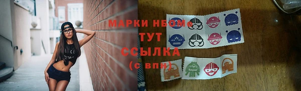 крисы Абаза