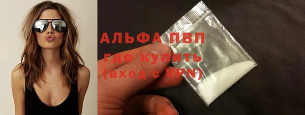 прущие грибы Санкт-Петербург
