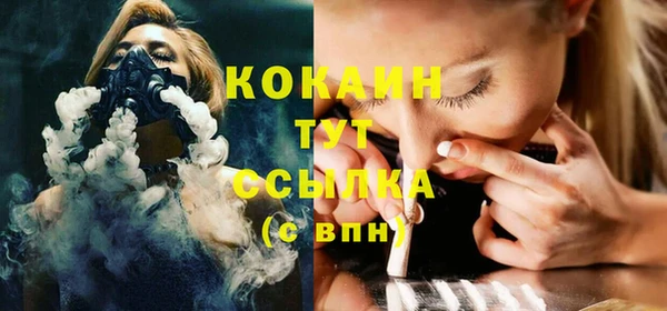 крисы Абаза