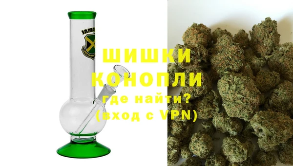 прущие грибы Санкт-Петербург